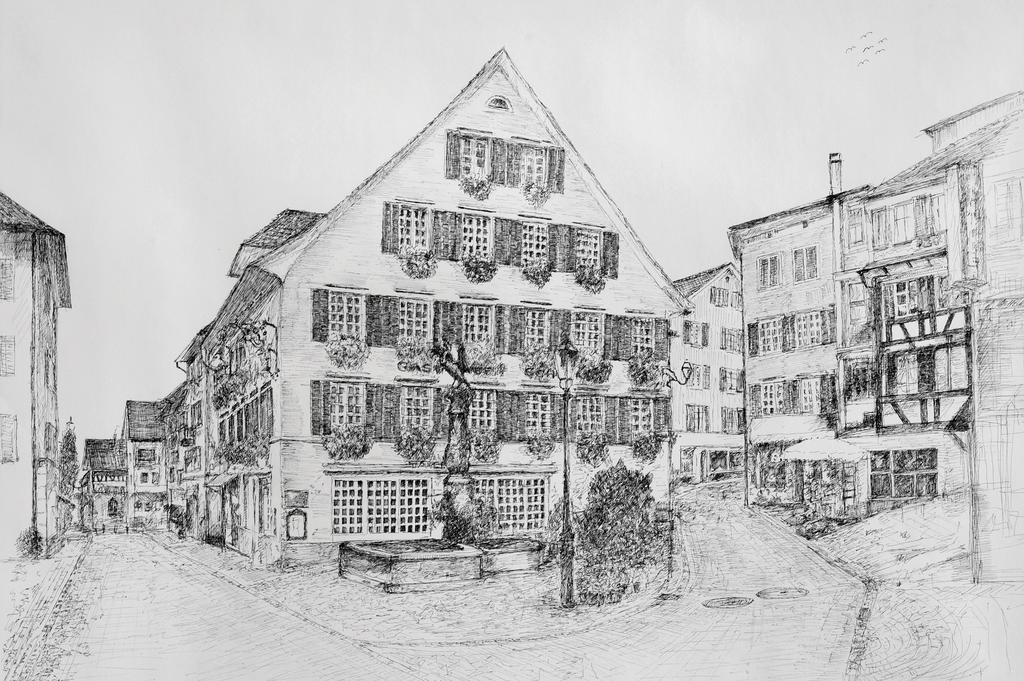 Romantik Hotel Schwan ホルゲン エクステリア 写真